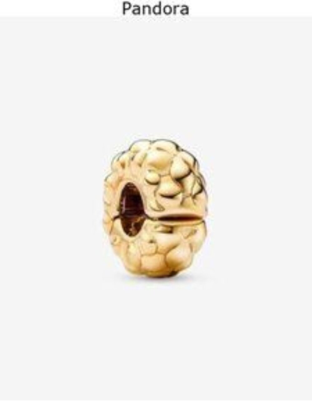 Pandora Studded Clip Charm
